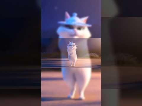 kucing nari#shortsviral