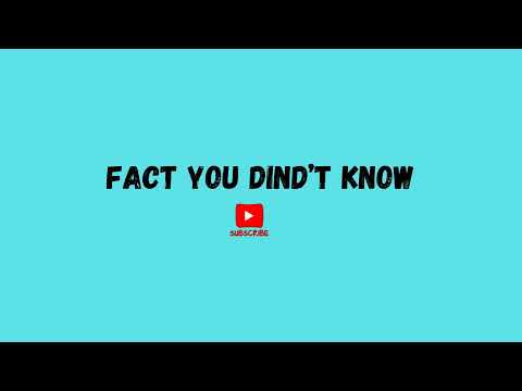 Facts You Didn't Know  Live Stream