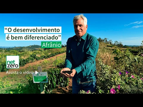 "O desenvolvimento é bem diferenciado" - Afrânio Paiva
