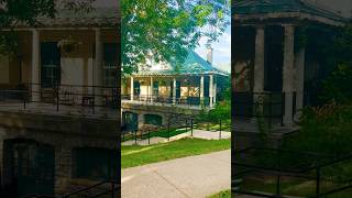 America Nature✨🌿 #shorts #viral #usa #nature #americannature