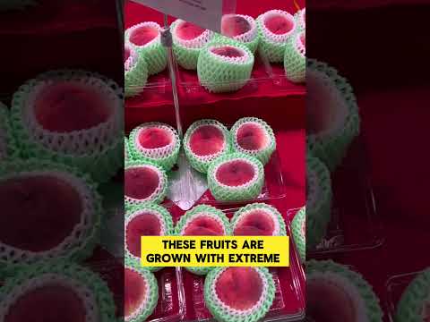 Why fruits are very costly in Japan?