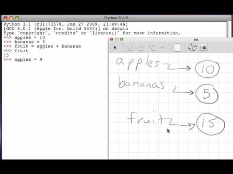 More about Assignment and References (Part 1)