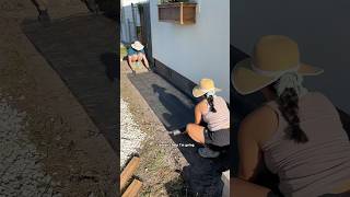 installing landscape fabric and rocks to prevent weeds and pests permanently
