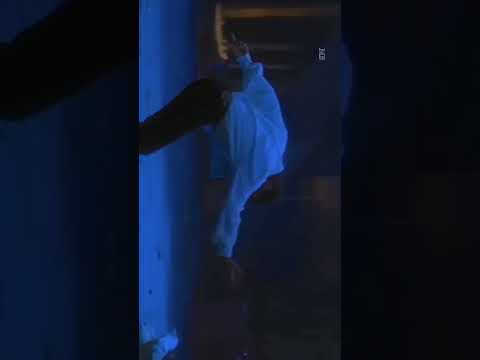 #shorts #shilpi #telugu