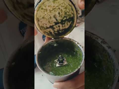 part 1   mint chutney /dahi rayata / fried rice #tasty Treats -02
