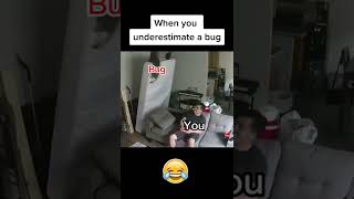 when you underestimate a bug #shorts #funny #developer #bug #coding #meme #comedy