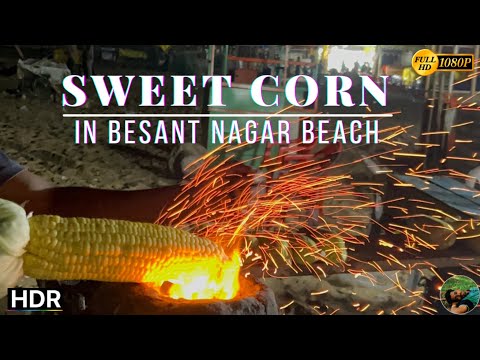SWEET CORN in Besant Nagar Beach