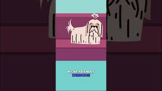 No design skills? No problem.