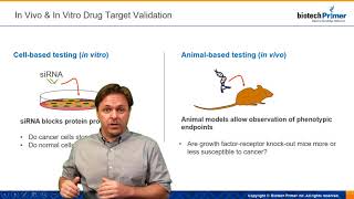 In vivo vs. in vitro drug development