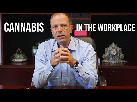 Cannabis in the Workplace