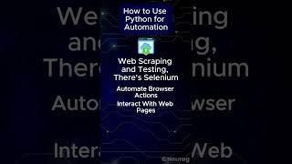 How to Use Python for Automation?