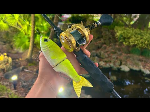 Fishing South Florida Canals For Ferocious Fish