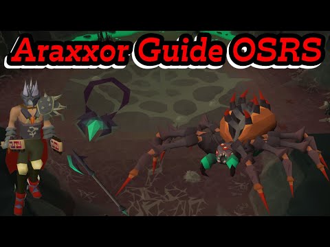 Araxxor Guide OSRS | All Mechanics Explained With Budget Gear Ironman Friendly!