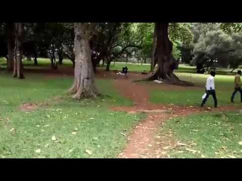 Xiaomi Mi3 Fast Motion Comedy