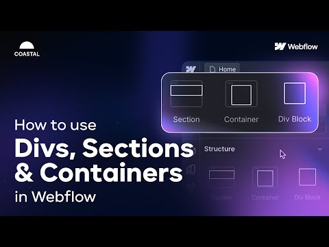 How To Use Sections, Containers & Divs in Webflow