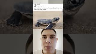 Finally, An Ad Worth Watching! 🐢✨ #NoMoreAds #WholesomeContent