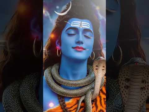 Jai Bholenaath ki 🙏🙏 #jaibholenaath #kedarnathtemple #kedarnath #mahadev