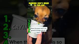 RANKING DOG'S MOOD TO PUP CUP