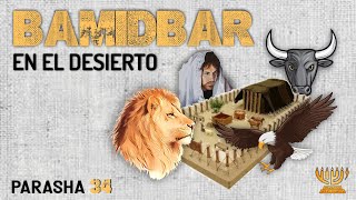 the SECRET of the camp of Israel / 4 x 3 / Parashat Bamidbar