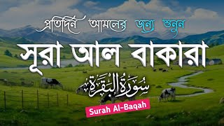 Surah Al-Baqah Daily routine. সূরা আল বাকারা হৃদয় জুড়ানো তেলাওয়াত By Ahmed Al Shalabi