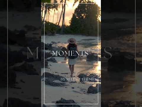 Best Wedding WordPress Themes 2024 | Best Wordpress Theme for Wedding 2024