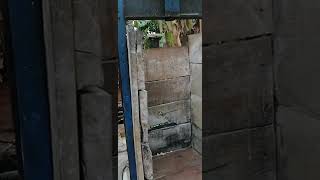 Local processing point of cassava