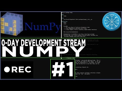 Stream Recording: numpy 0-day hunting with custom fuzzer #1