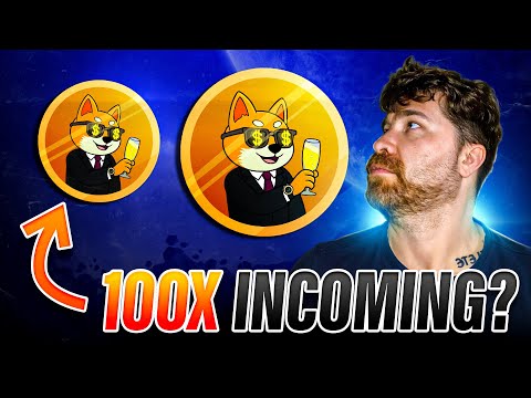 Next Meme Coin to Explode in 2025? 🚀 Wall Street Shiba ($STIBA) Presale Review
