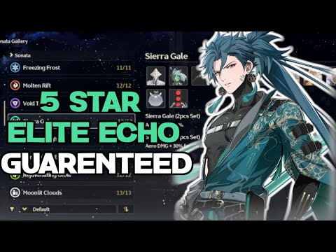WATCH THIS BEFORE FARMING ECHOES....... saves you a lot of time [Wuthering Waves]