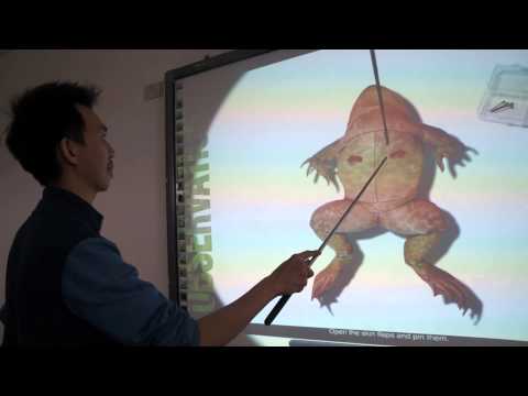SmartBoard TechReport