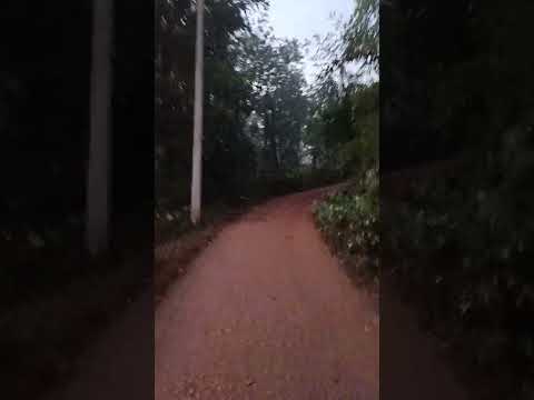 कणकवली , कोंकण ❤️❤️❤️