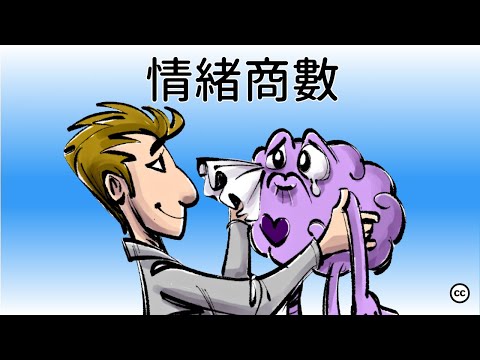 【情商】識別、理解、運用和管理情緒