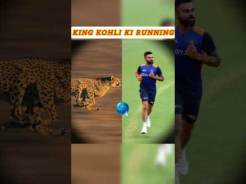 #King#Kohli#power #running#Dhoni#ki #stumping#trending #viral#cricket#video