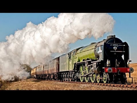 Whoopee What A Ride | Kids song about trains | Music video with lyrics