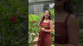 Garden Plus(UGC)X Monkey Studios| Brand Communication | Reels, Shorts, Films, Ads, Digital Marketing