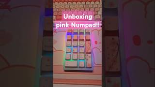 Unboxing my new pink numpad ❤️ #unboxing #asmr #keyboard #asmrkeyboard #keypad #numpad