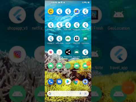 My flutter and Java skills
