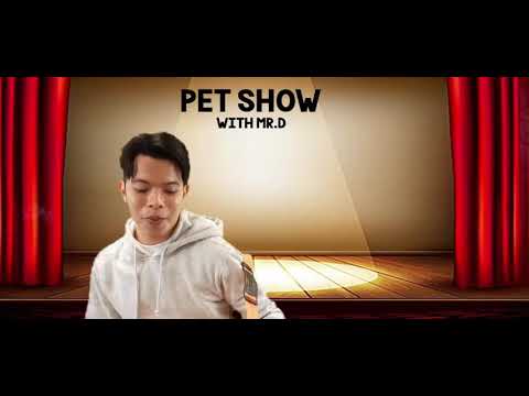 Describing Pets (REPOST)