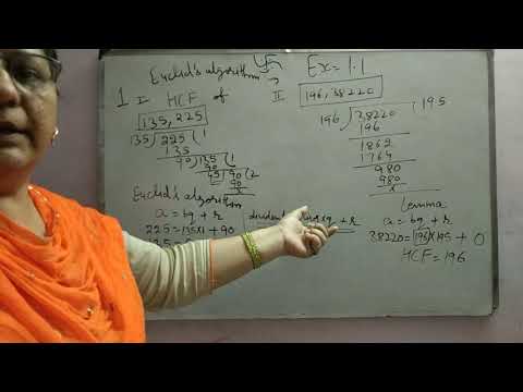 HCF by Euclid's Division Algorithm
