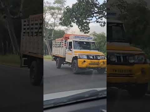 Is it safe to drive?? #elephantscrossing #dhimbam #tamilnadu #getsetshine