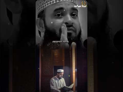 ইসলাম একটি পরিপূর্ণ জীবন ব্যবস্থা