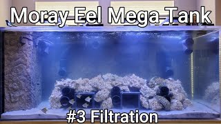 Moray Eel Mega Tank - 03 - Filtration