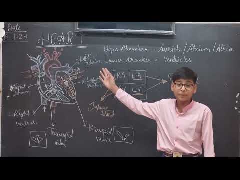 Heart diagram explain by my student #science #sciencelover #viralvideos #students