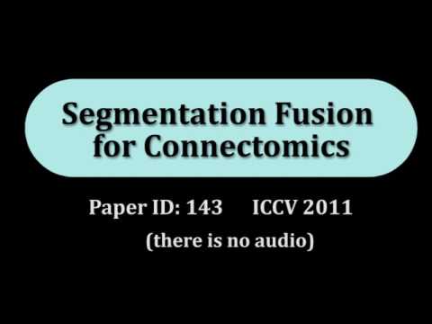Segmentation Fusion for Connectomics