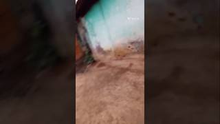#Ghar