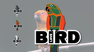 Adobe Illustrator Animal Logo Design - Love Bird