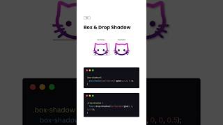 box and drop shadow in css style  #css #shadow #shorts #frontend #webdevelopment #coding #trending