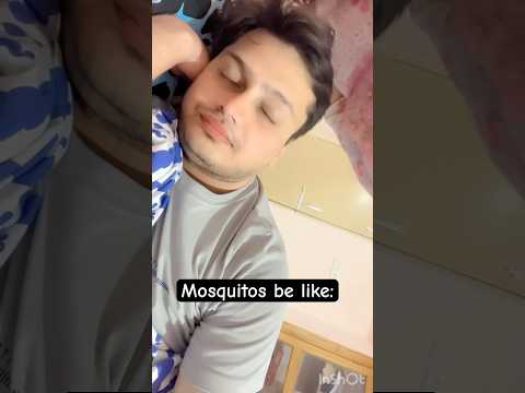Mosquitoes be like.. #shorts #shortvideo #song