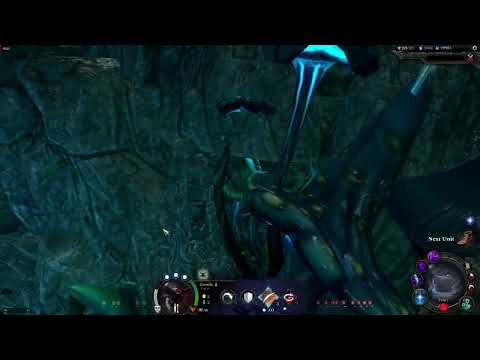 AOW4 low fps nothing onscreen