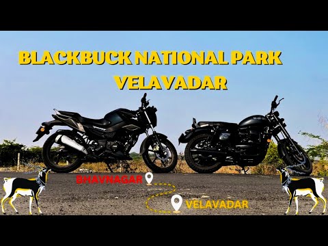 Velavadar National Park | Worth it ?